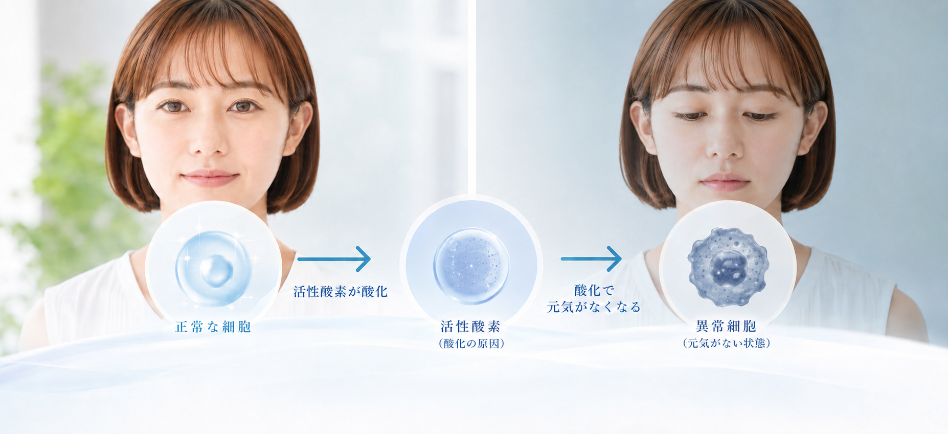 悪玉活性酸素の説明画像
